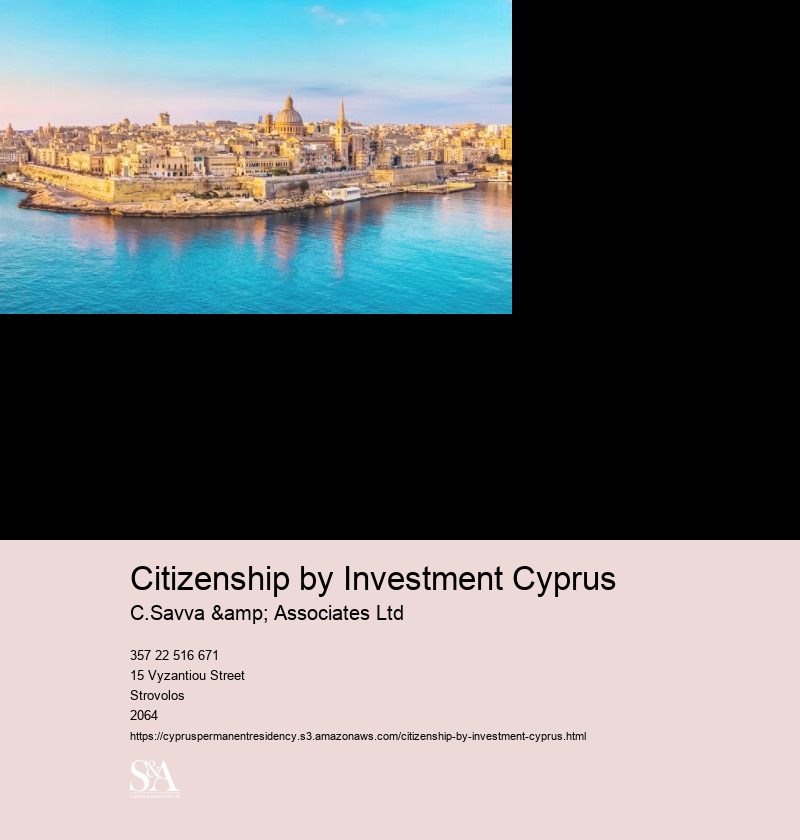 Investor Immigration Firm Cyprus
